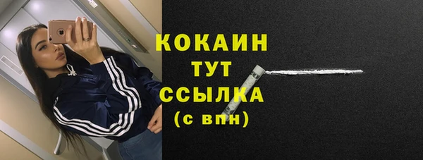 шишки Костерёво