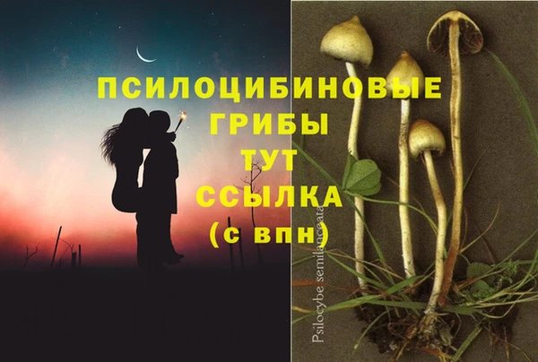 гашик Костерёво