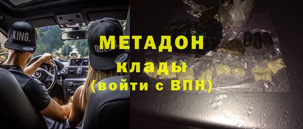 индика Нягань