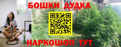 гашик Аргун