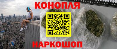 прущие грибы Апшеронск