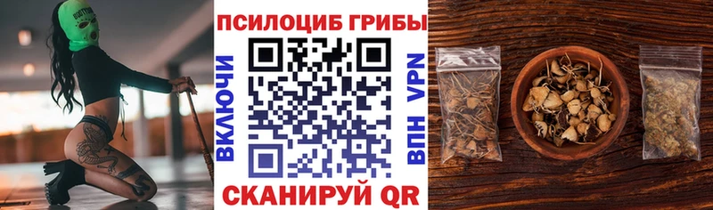 купить закладку  Бердск  Псилоцибиновые грибы мухоморы 