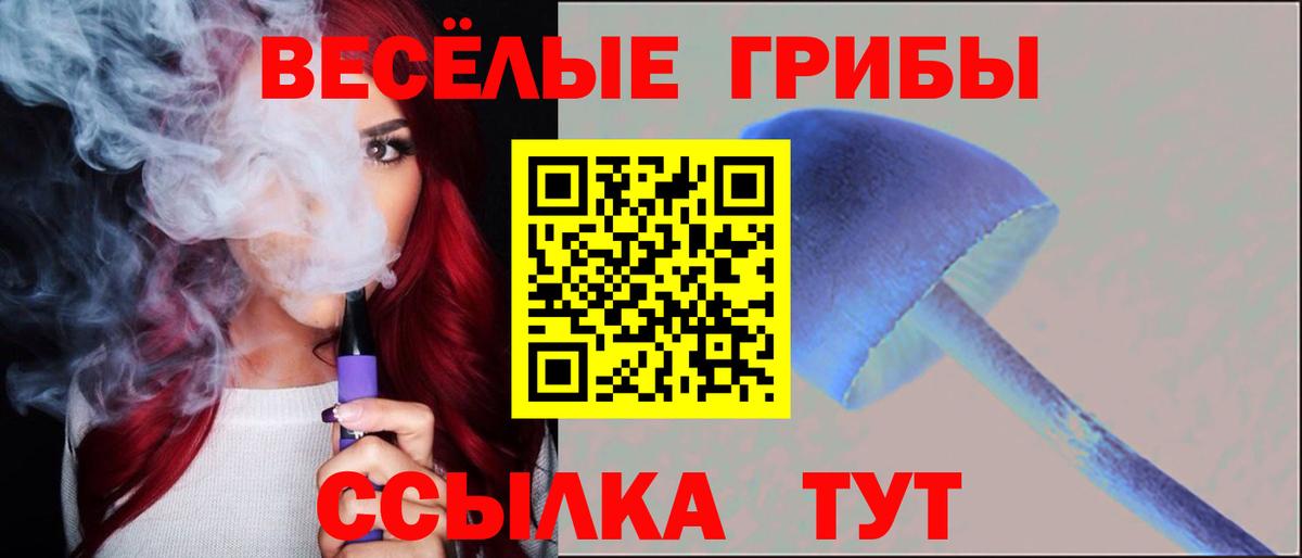 Галлюциногенные грибы мухоморы  Псилоцибиновые грибы прущие грибы  Бердск  сколько стоит  Вход с VPN 