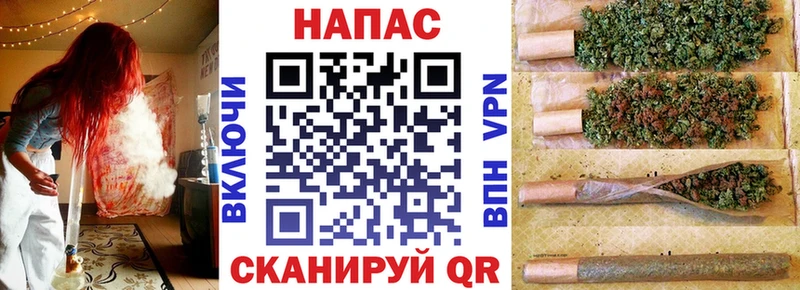 Бошки марихуана гибрид  наркотики  гидра ссылка  Бердск 